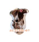 ラッキーなまいにち（個別スタンプ：4）