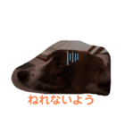 ラッキーなまいにち（個別スタンプ：5）