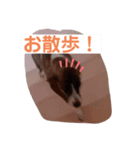 ラッキーなまいにち（個別スタンプ：6）