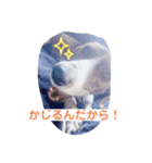 ラッキーなまいにち（個別スタンプ：7）