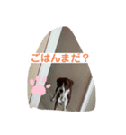 ラッキーなまいにち（個別スタンプ：8）