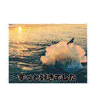 海の写真風スタンプ①（恋愛バージョン）（個別スタンプ：4）