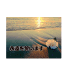 海の写真風スタンプ①（恋愛バージョン）（個別スタンプ：7）