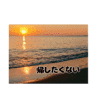 海の写真風スタンプ①（恋愛バージョン）（個別スタンプ：11）