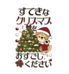 【Big】柴犬『年末年始』2024～2025（個別スタンプ：5）