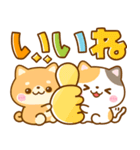 仲良し猫と柴犬♡バラエティmix（個別スタンプ：12）