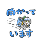 仕事猫×九州電力送配電（個別スタンプ：18）