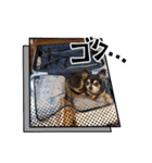 パドパド時々なぴお（個別スタンプ：14）