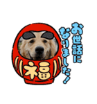 パドパド時々なぴお（個別スタンプ：18）