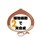 高校 生物基礎 Ⅰ  1-11（個別スタンプ：6）