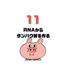 高校 生物基礎 Ⅰ  1-11（個別スタンプ：22）