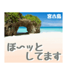 サキシマ諸島巡り大好き。沖縄行きたい！（個別スタンプ：7）