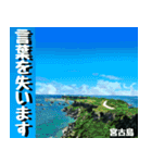 サキシマ諸島巡り大好き。沖縄行きたい！（個別スタンプ：24）