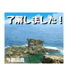 サキシマ諸島巡り大好き。沖縄行きたい！（個別スタンプ：25）