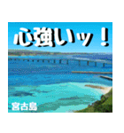 サキシマ諸島巡り大好き。沖縄行きたい！（個別スタンプ：28）