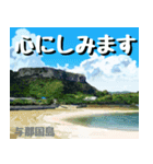 サキシマ諸島巡り大好き。沖縄行きたい！（個別スタンプ：39）