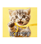 ISTPにゃんこスタンプ（個別スタンプ：1）