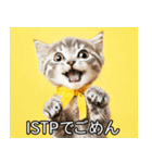 ISTPにゃんこスタンプ（個別スタンプ：20）