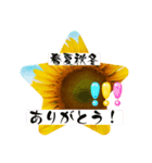 向日葵LINEスタンプ、yamami（個別スタンプ：4）