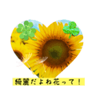 向日葵LINEスタンプ、yamami（個別スタンプ：6）