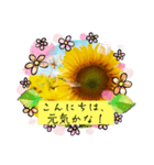 向日葵LINEスタンプ、yamami（個別スタンプ：7）