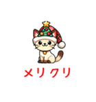 シャム猫 クリスマス 帽子 ららら（個別スタンプ：5）