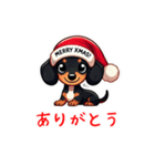 ダックスフント クリスマス 帽子 ららら（個別スタンプ：13）