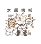 猫のダヤンスタンプ ビジネス敬語 台湾語（個別スタンプ：2）