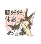 猫のダヤンスタンプ ビジネス敬語 台湾語（個別スタンプ：3）