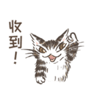 猫のダヤンスタンプ ビジネス敬語 台湾語（個別スタンプ：16）