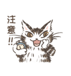 猫のダヤンスタンプ ビジネス敬語 台湾語（個別スタンプ：31）