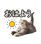 毎日使う☆大切な人へのメッセージ♡ネコ猫（個別スタンプ：1）