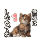 毎日使う☆大切な人へのメッセージ♡ネコ猫（個別スタンプ：4）