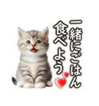 毎日使う☆大切な人へのメッセージ♡ネコ猫（個別スタンプ：6）