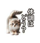 毎日使う☆大切な人へのメッセージ♡ネコ猫（個別スタンプ：7）