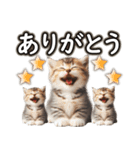 毎日使う☆大切な人へのメッセージ♡ネコ猫（個別スタンプ：12）