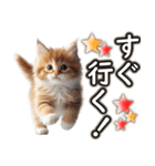 毎日使う☆大切な人へのメッセージ♡ネコ猫（個別スタンプ：25）