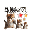 毎日使う☆大切な人へのメッセージ♡ネコ猫（個別スタンプ：29）