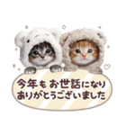 ず〜っと使える冬の猫スタンプ（個別スタンプ：26）