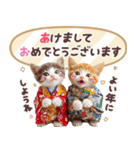 ず〜っと使える冬の猫スタンプ（個別スタンプ：30）