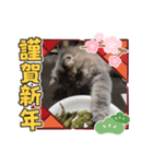 MALUのまったりライフ7（個別スタンプ：4）