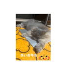 MALUのまったりライフ7（個別スタンプ：8）