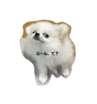 SHIMA UNI STAMP（個別スタンプ：4）