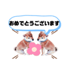 ☆豆柴☆ ちょっとビジネスライクな柴犬（個別スタンプ：12）
