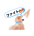 ☆豆柴☆ ちょっとビジネスライクな柴犬（個別スタンプ：19）