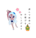 ☆豆柴☆ ちょっとビジネスライクな柴犬（個別スタンプ：37）