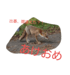新年あいさつ2025（個別スタンプ：1）