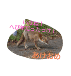 新年あいさつ2025（個別スタンプ：8）