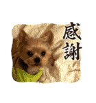 福1001（個別スタンプ：4）