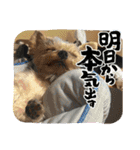 福1001（個別スタンプ：7）
